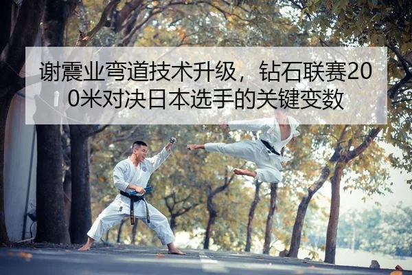 xie-zhen-ye-wan-dao-ji-shu-sheng-ji-zuan-shi-lian-sai-mi-dui-jue-ri-ben-xuan-shou-de-guan-jian-bian-shu-2-709.jpg